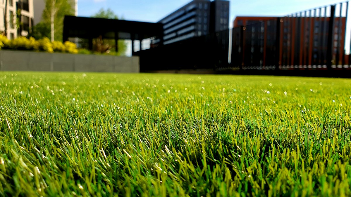 A neatly maintained green lawn